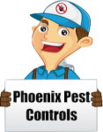 pest control in phoenix